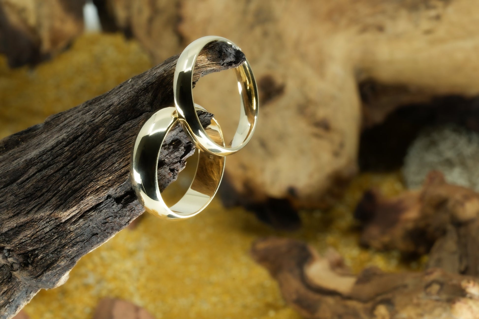 Pair of 14k gold classic domed rings on a branch