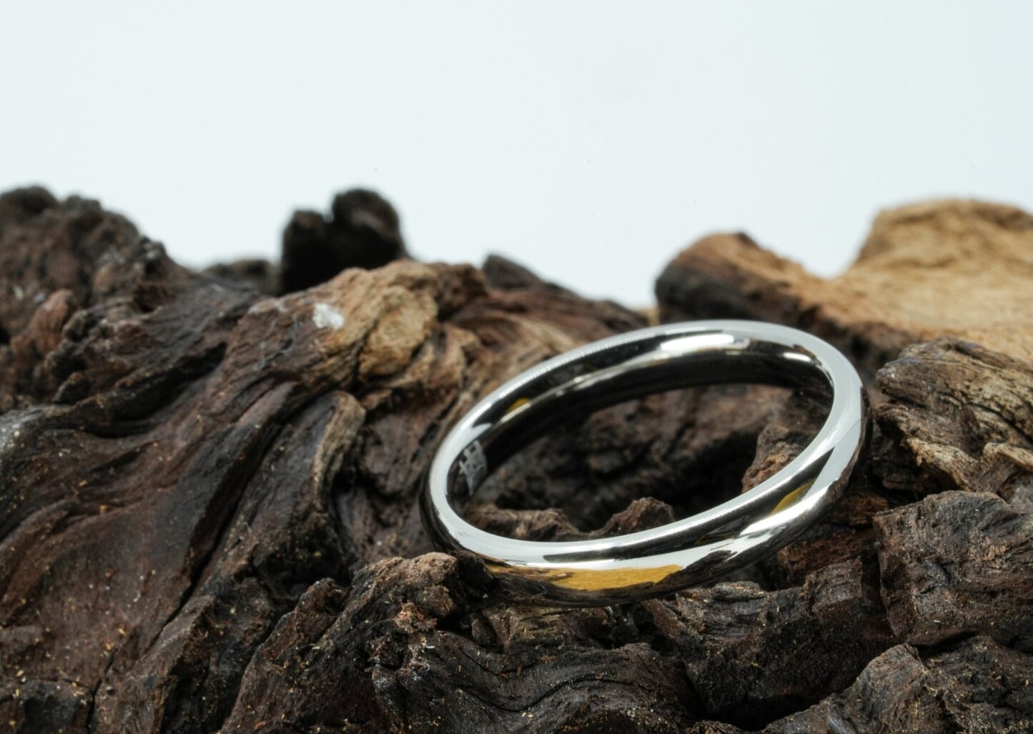 The McQueen (3mm Titanium) Ring Rings