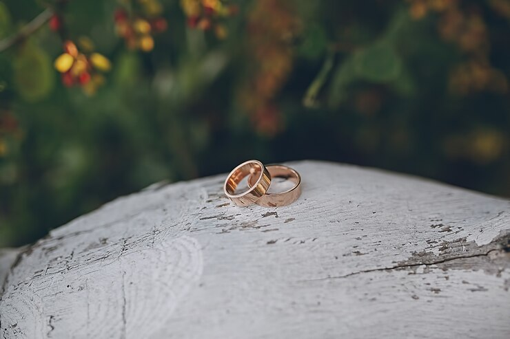 Two wedding rings on a rock with a natural West Coast scene in the background