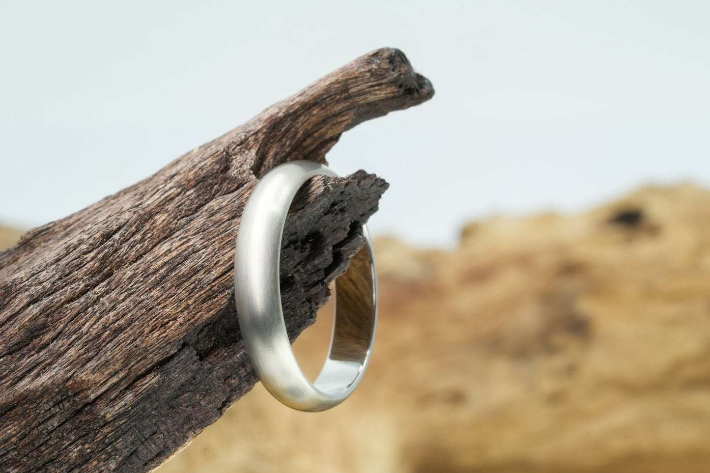 "Laramore" white gold band on wooden branch