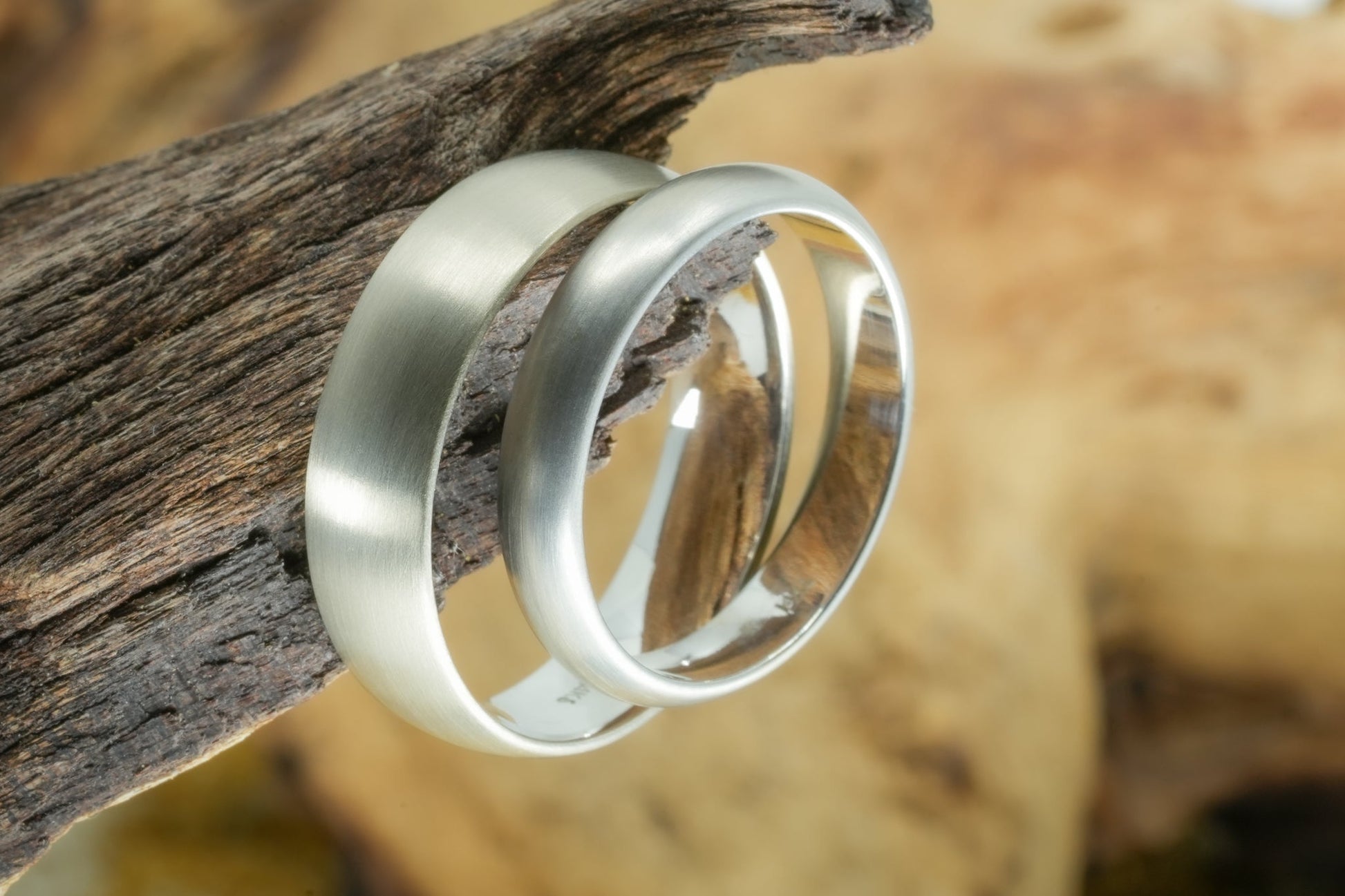 White gold "Jackson" and "Laramore" wedding bands on a branch.